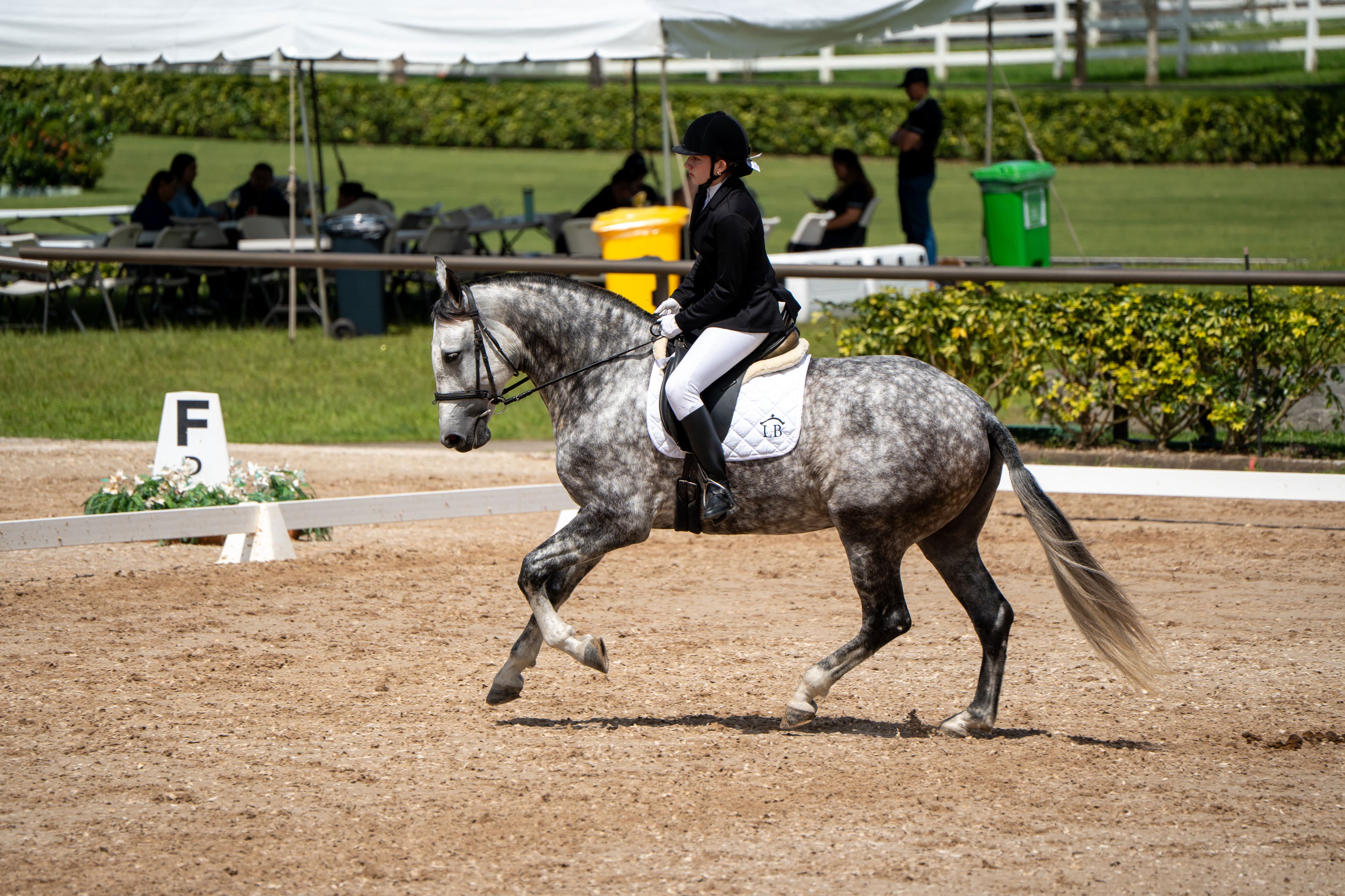 Training Level - Sara Castro Viquez