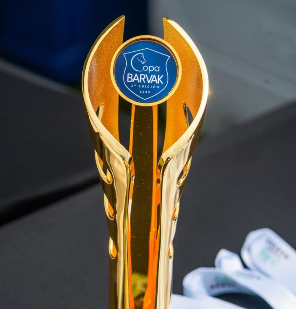 Golden Barvak Cup trophy, 2nd edition