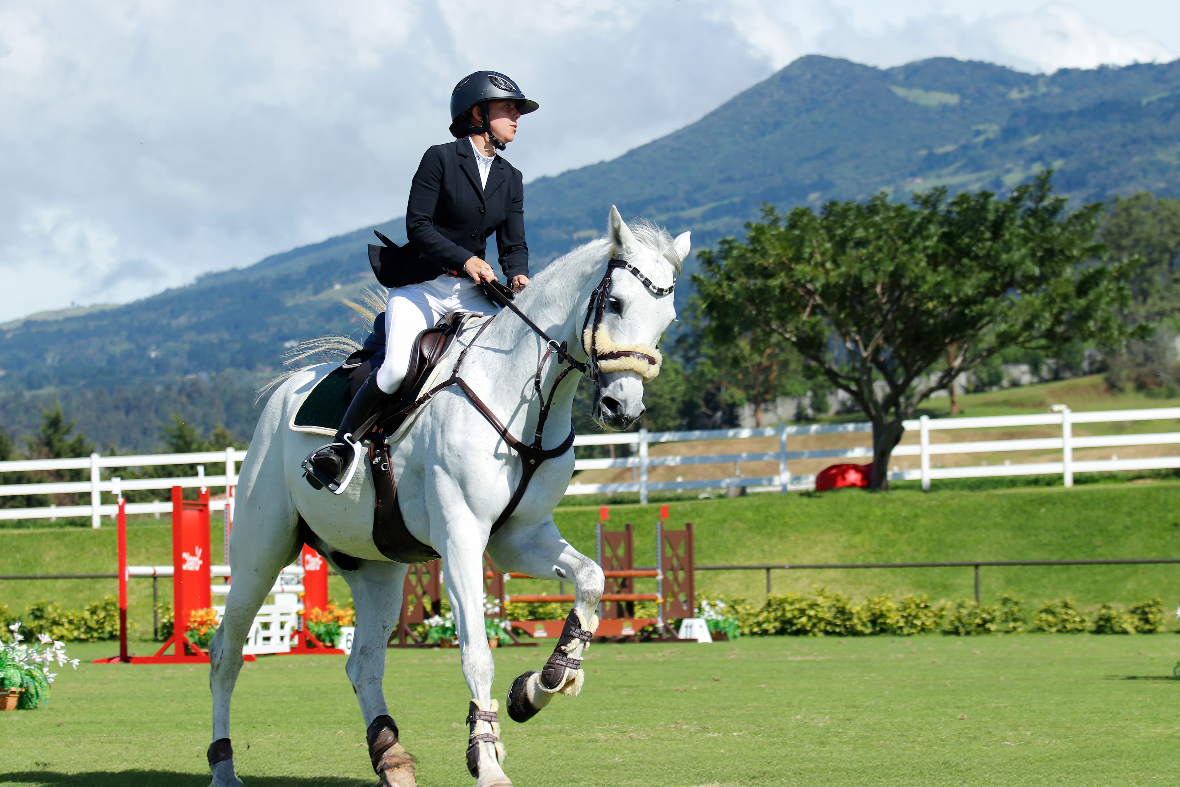 Haute Ecole equestrian show