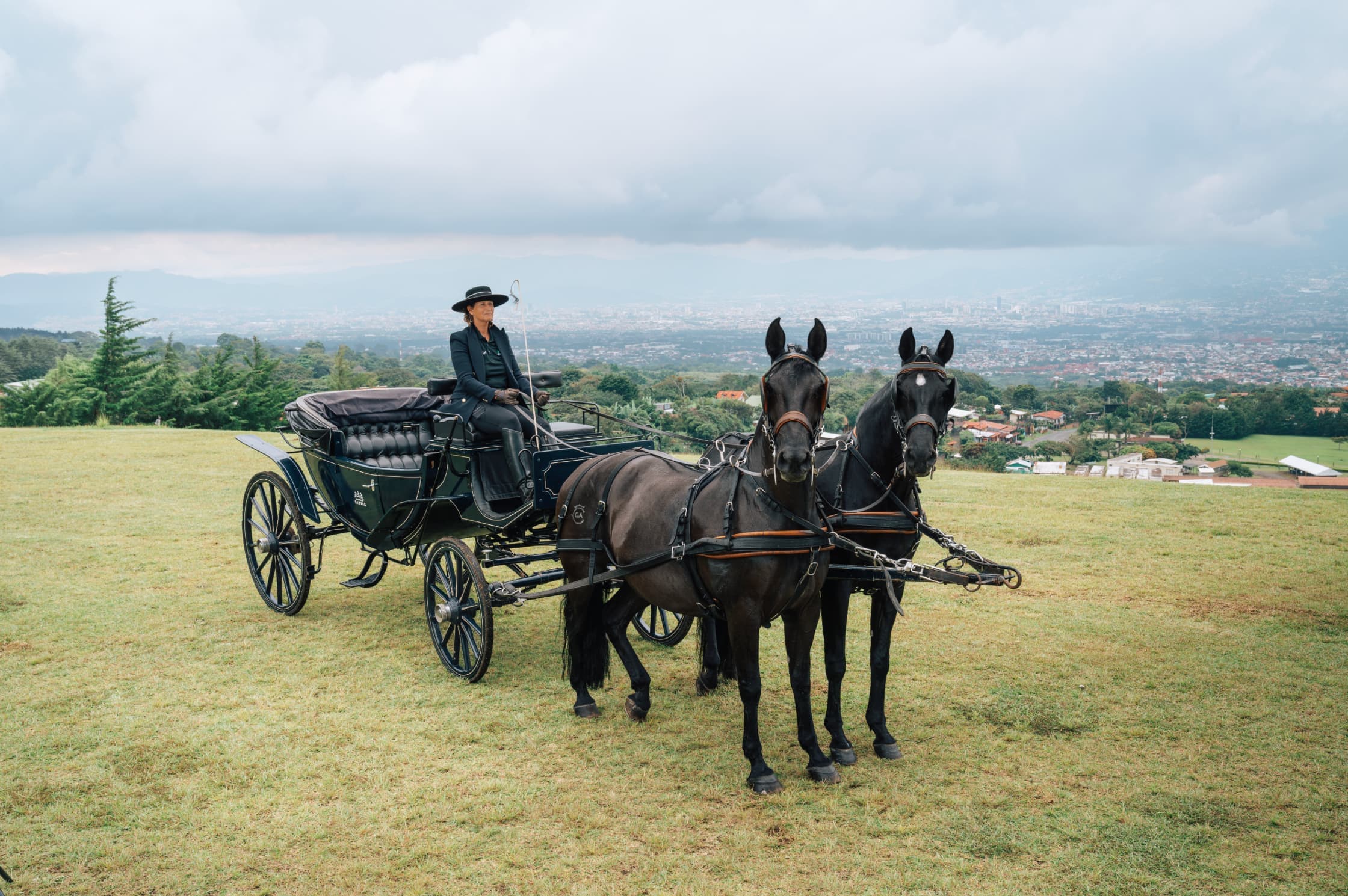 Horse-drawn carriage at Hacienda Barvak