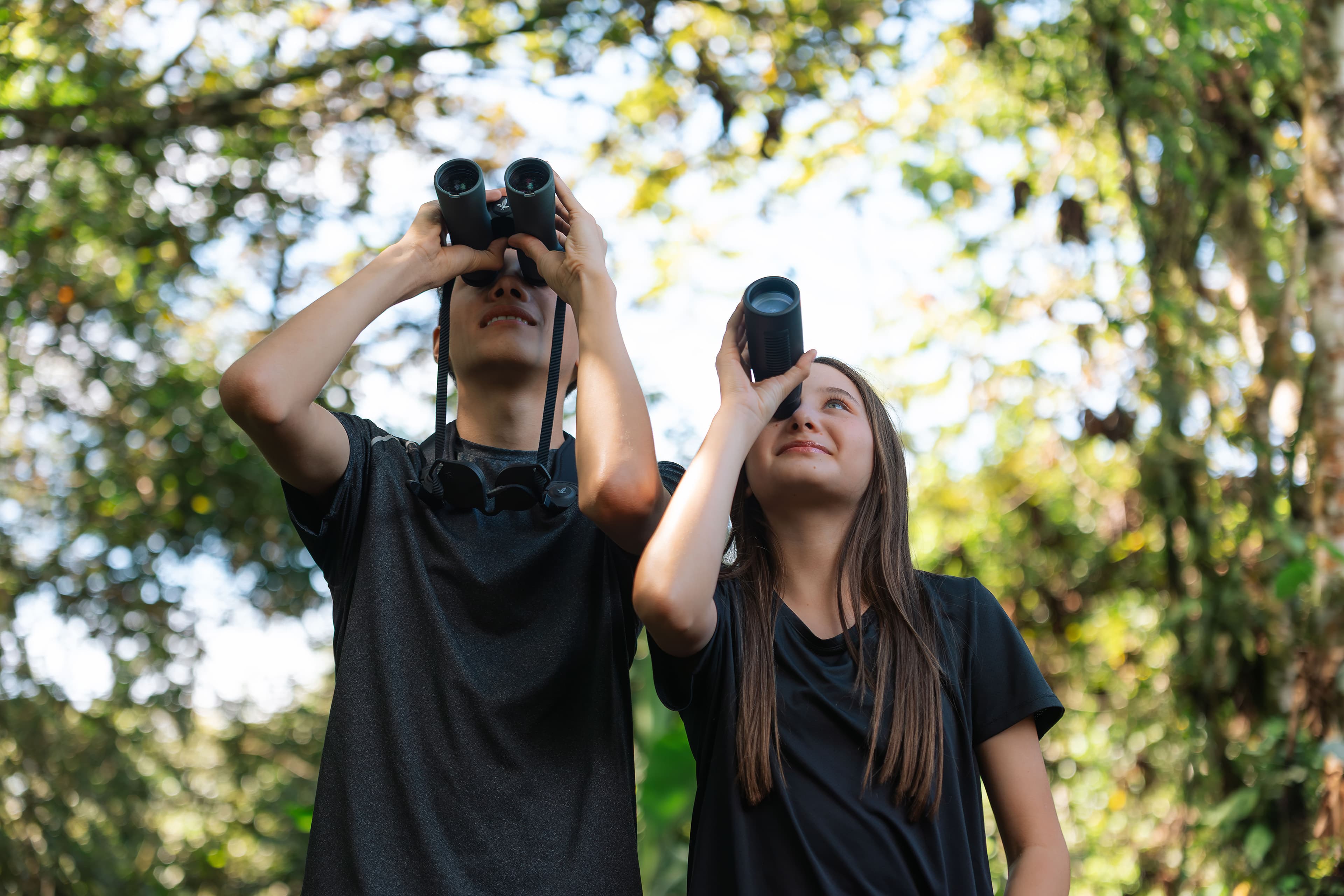 Birdwatching