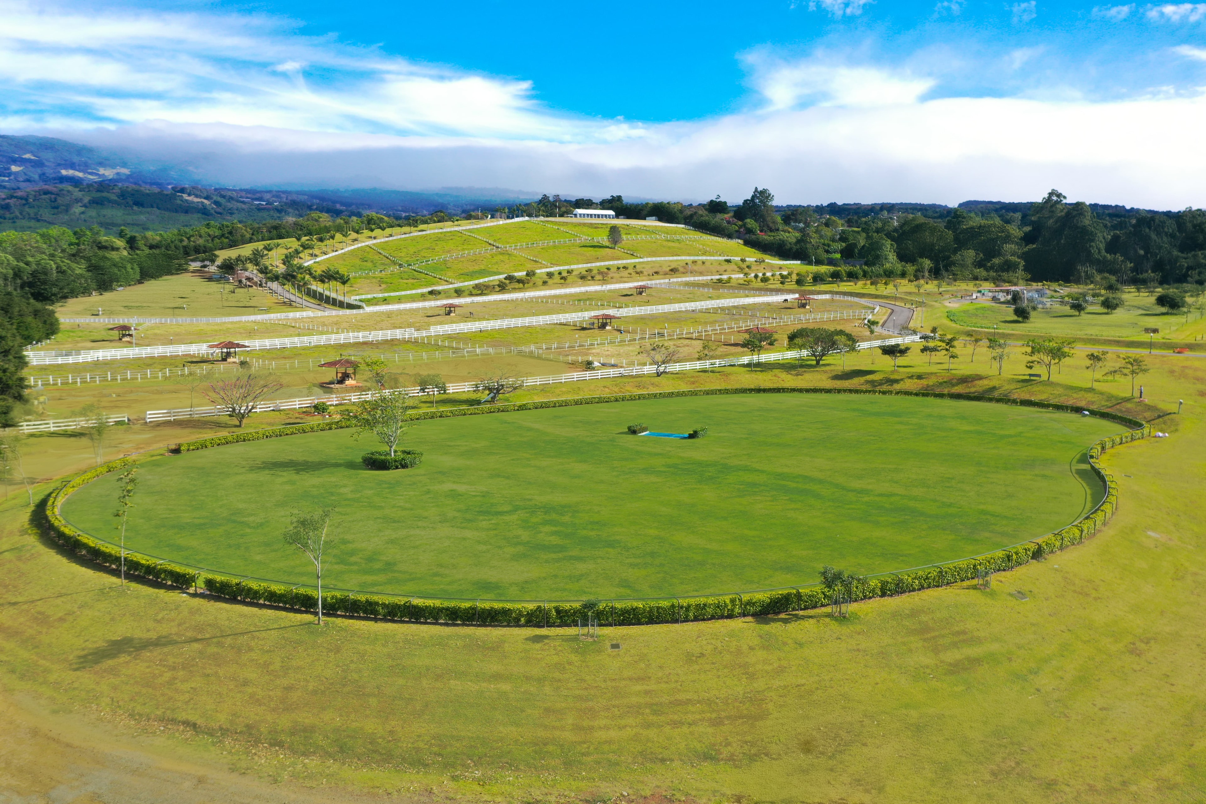 Silica-sand arena with horses