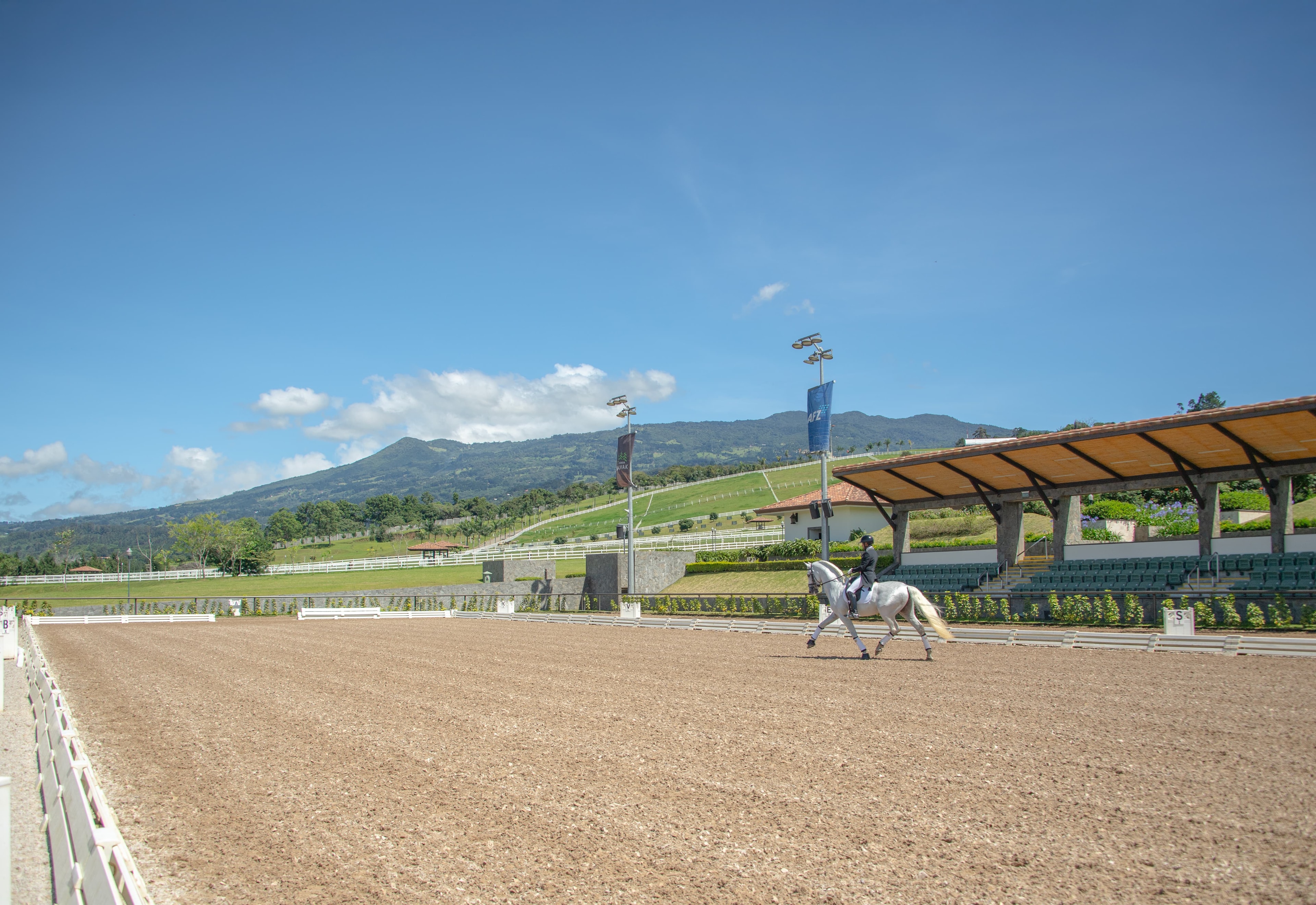 Aerial view of jumping arena with horses