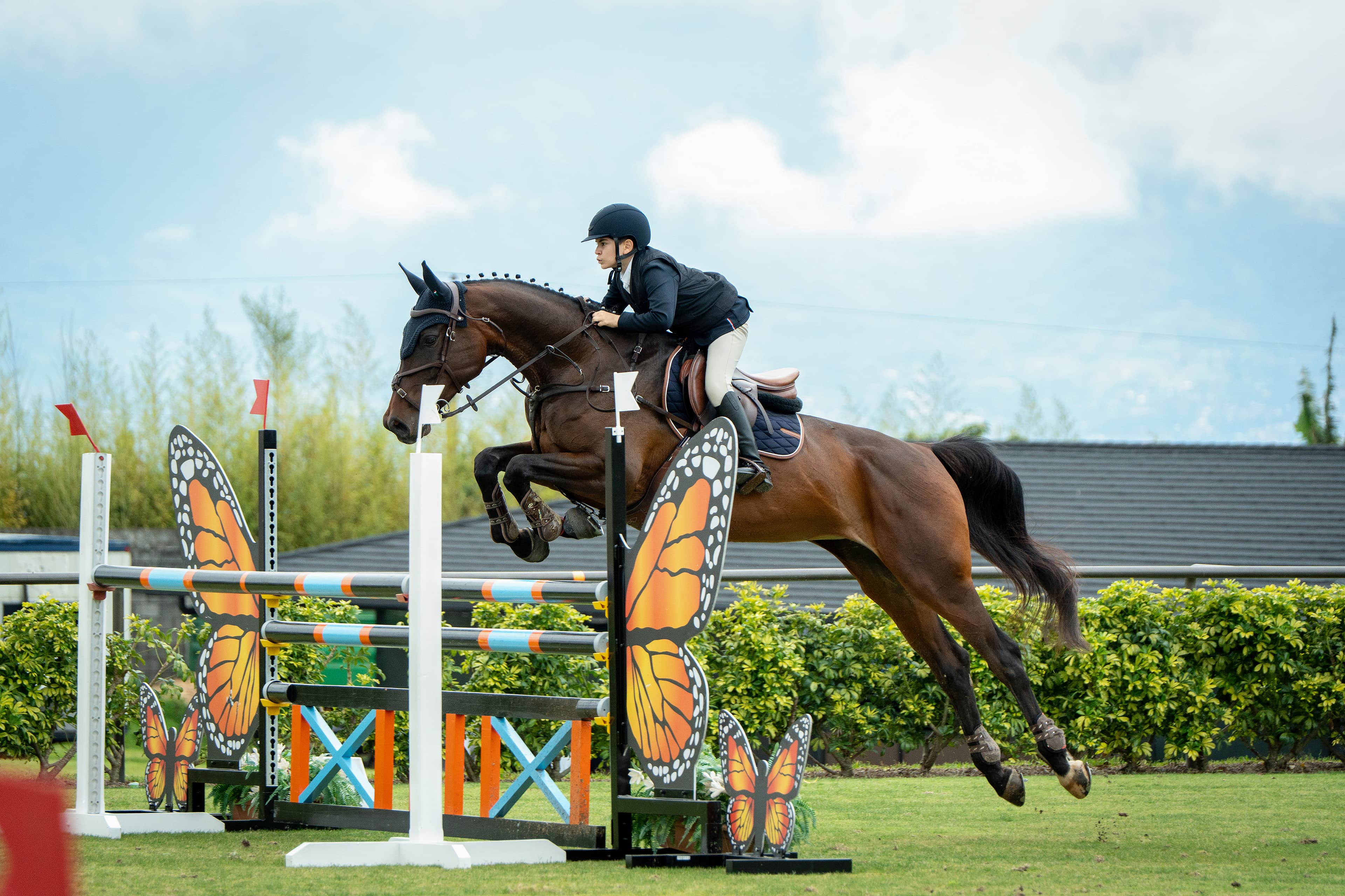 Show jumping lesson at Hacienda Barvak