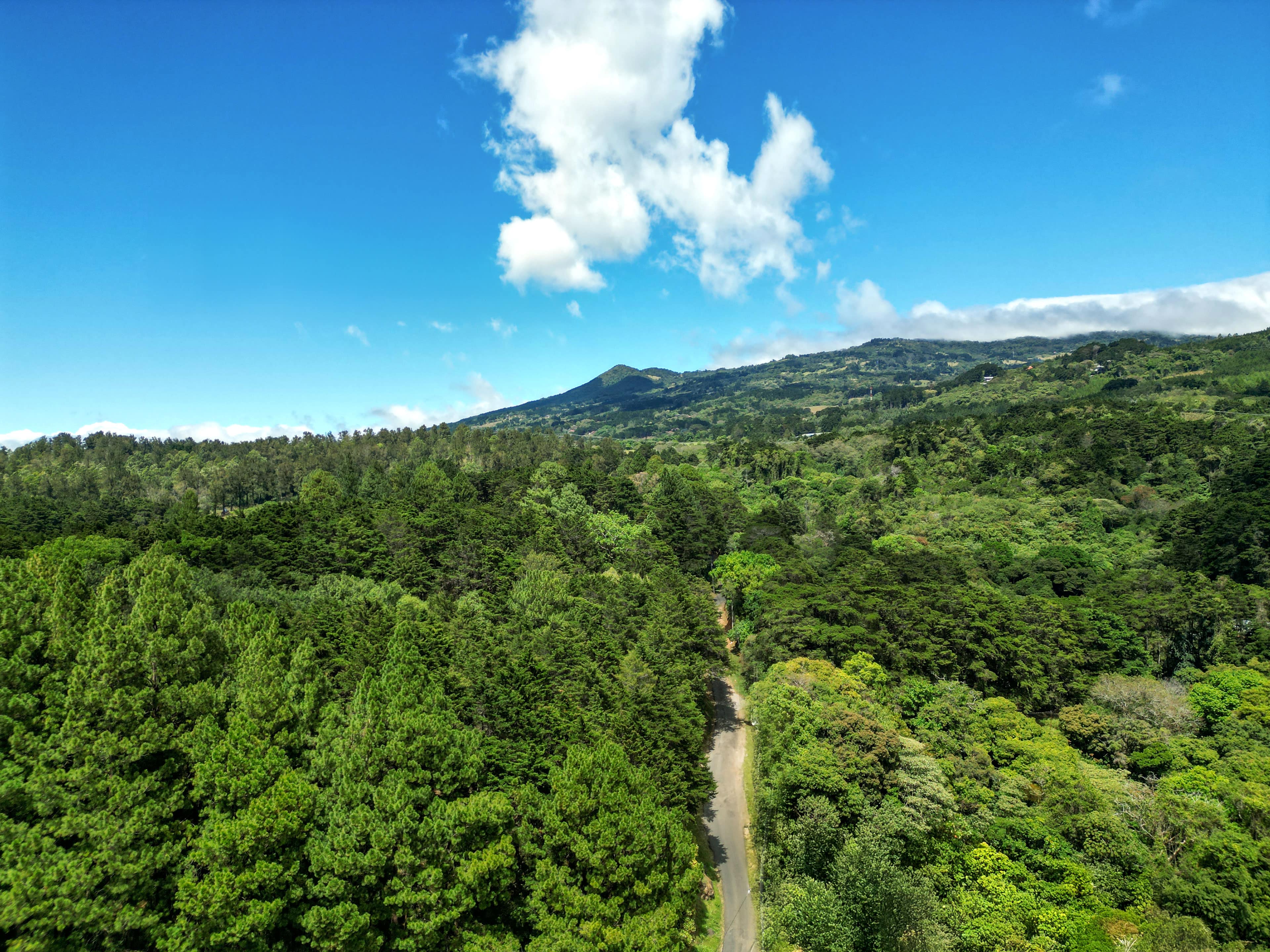 Hacienda Barvak landscape