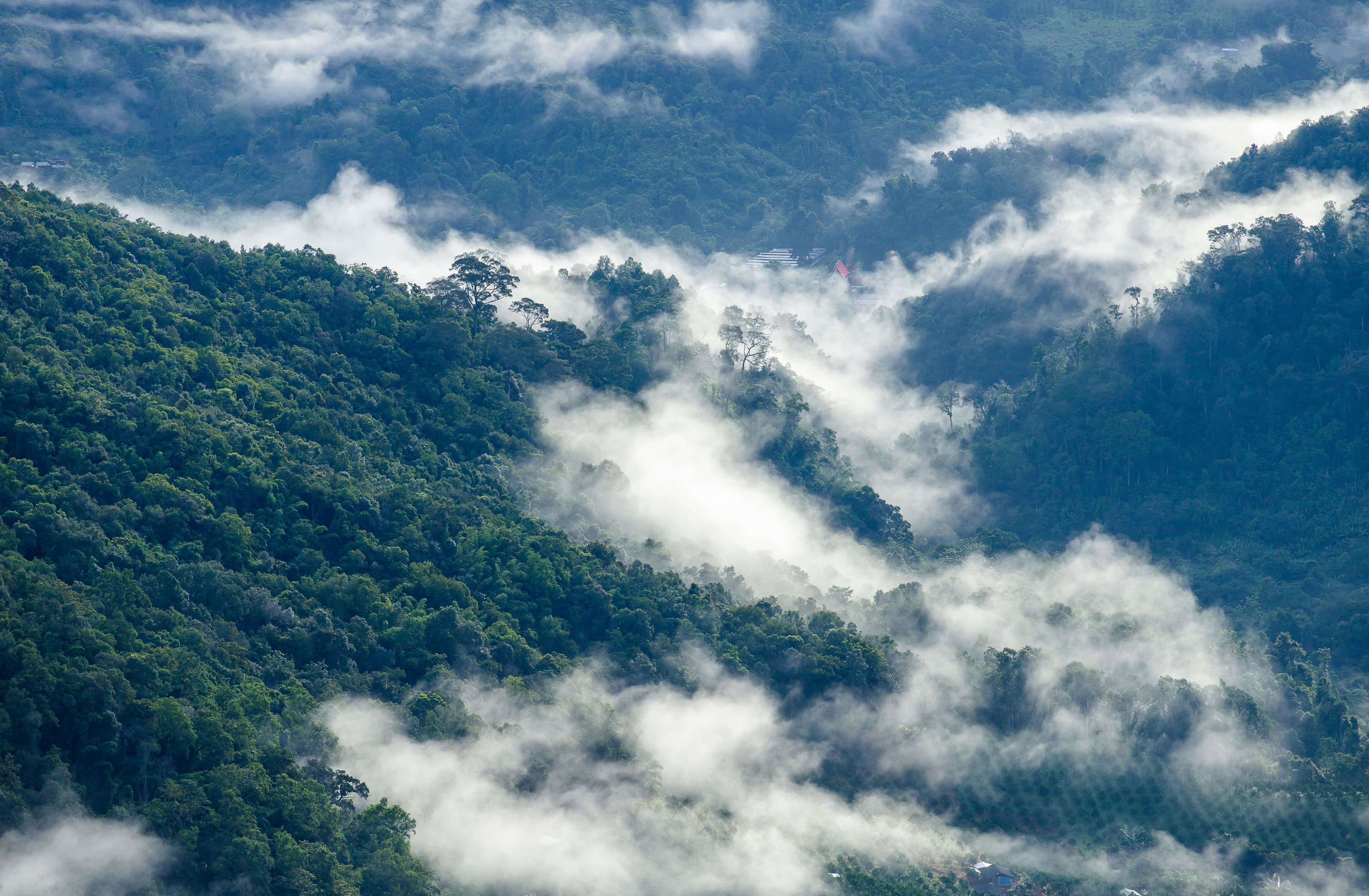 Mountain landscape with fog in Costa Rica
