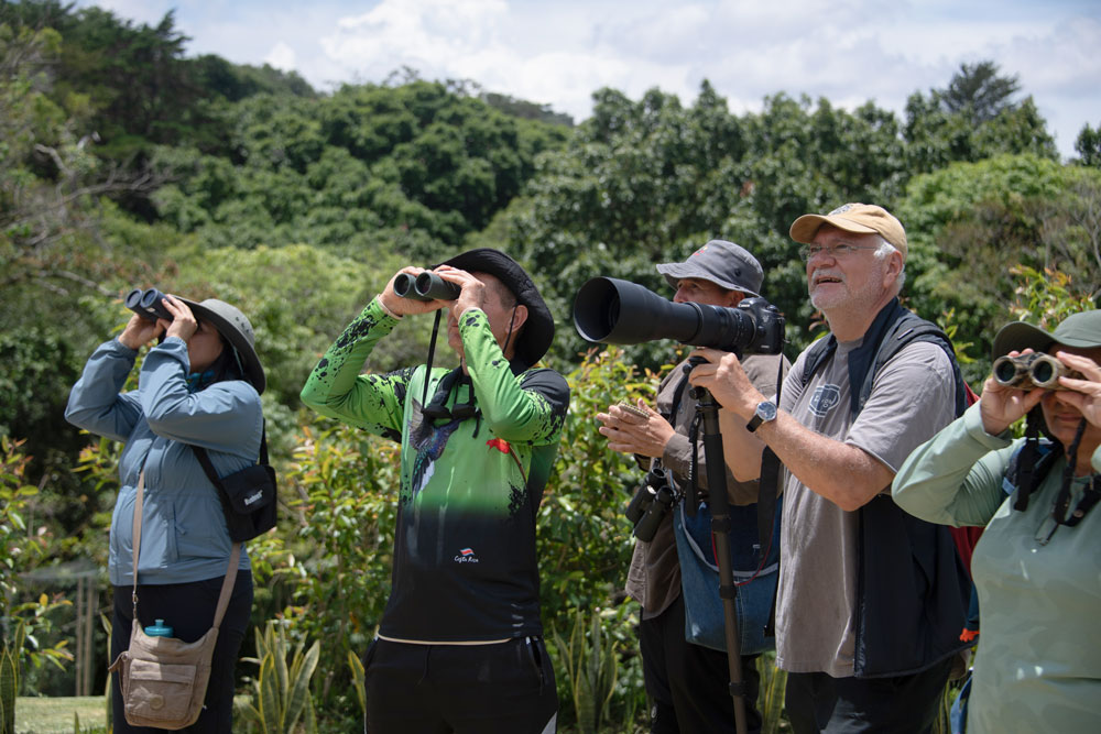 Hacienda Barvak Records 57 Bird Species in Its First Official CBI Cubujuquí Bird Count